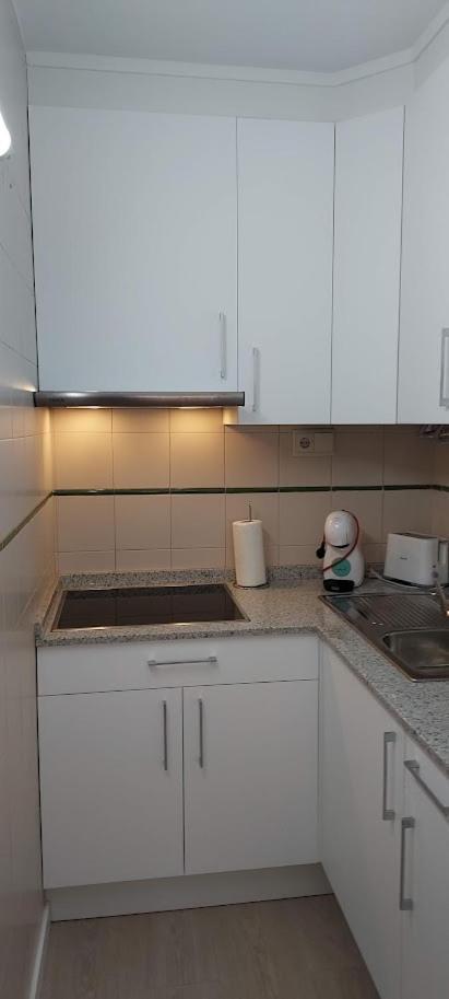 Apartamento Viena VI 貝尼多姆 外观 照片