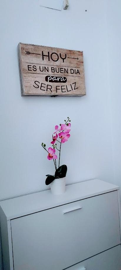 Apartamento Viena VI 貝尼多姆 外观 照片